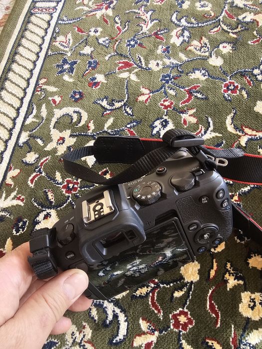 Canon EOS RP + 24-105