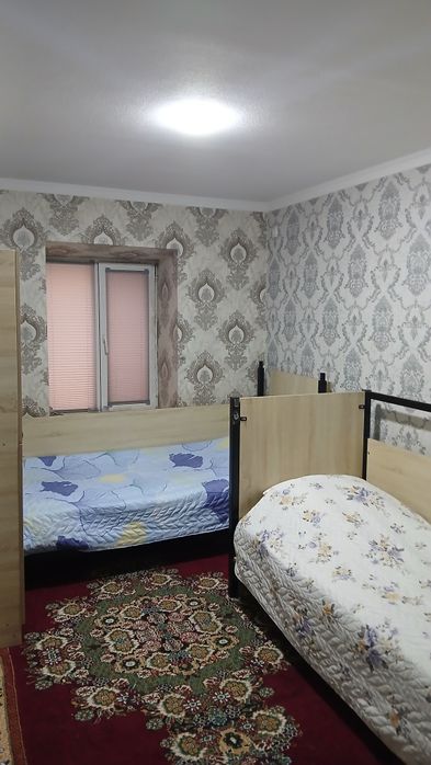 Xostel Samarqand shahri markazida. Yangi ochilgan
