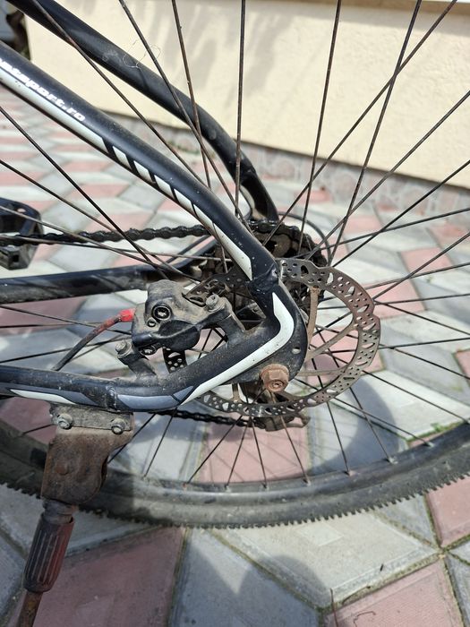 Bicicletă MTB Carpat 29” – frâne hidraulice, stare bună