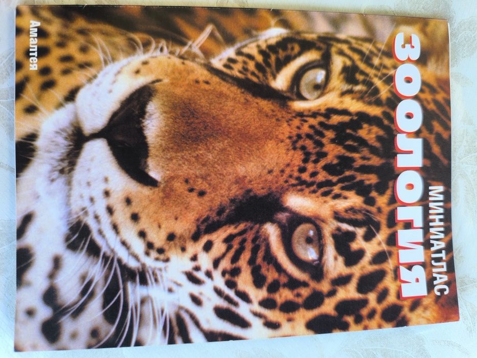 Помагала по английски, математика, физика, литература, атласи