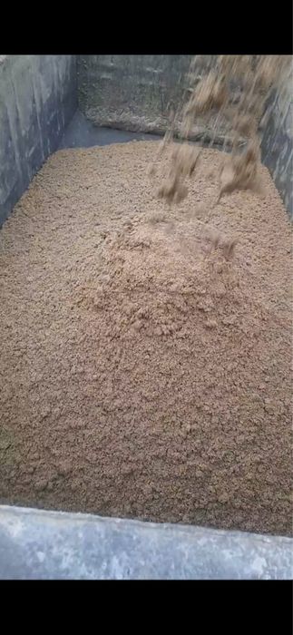 Барда для скота коров