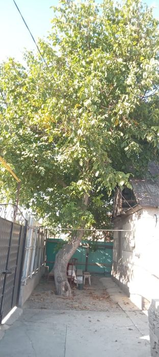 Продаю дом или квартиру обмен