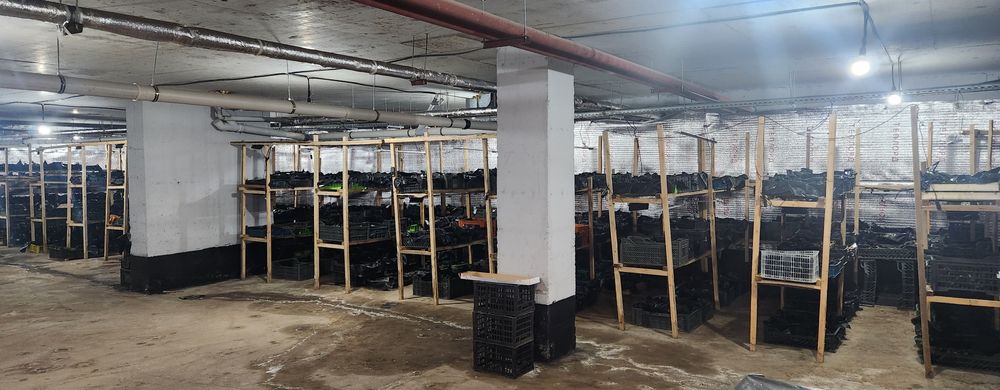 Сдам коммерческое помещения