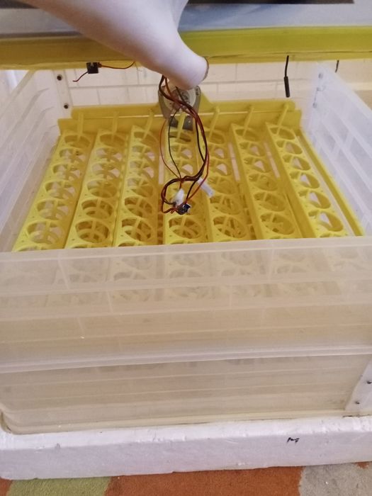 Инкубатр для яйц