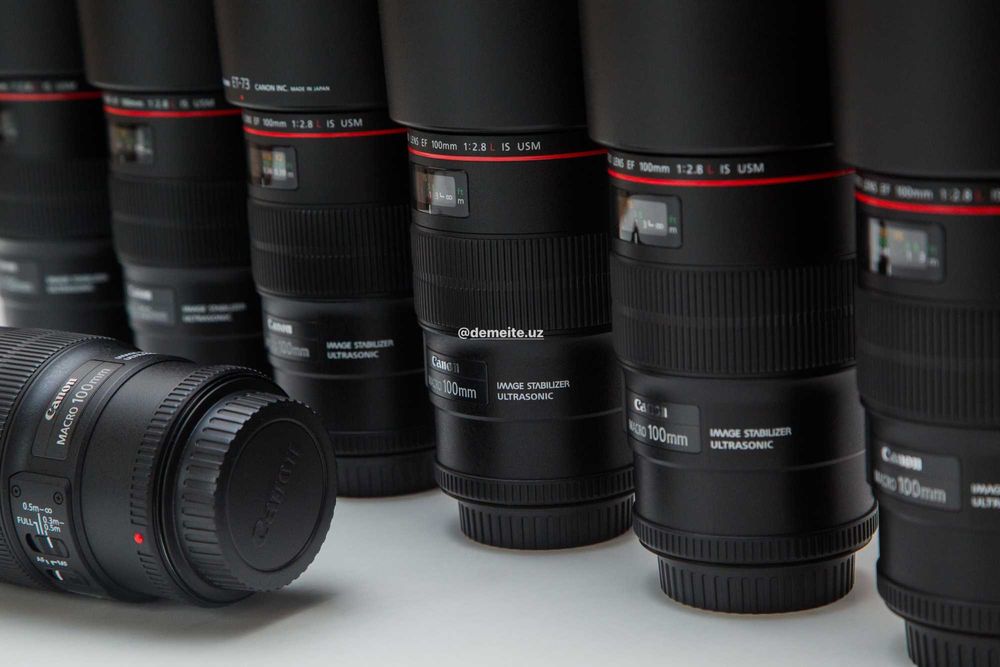 Canon EF 100mm f/2.8L Macro IS USM