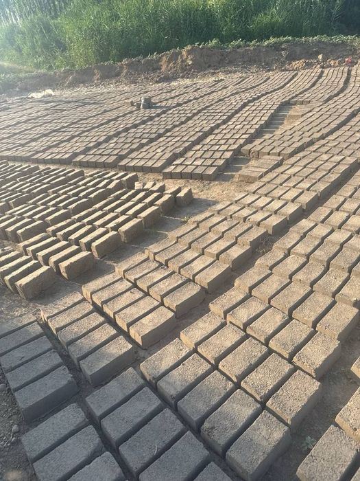 650 som gishtlar