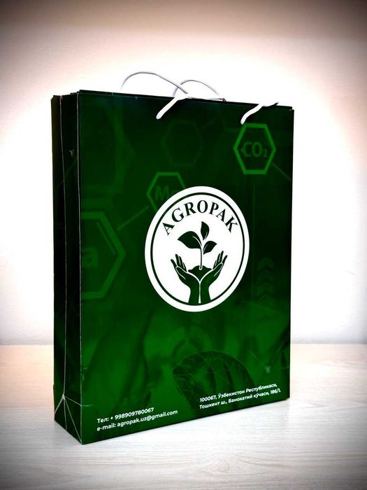Печать бумажных пакетов с логотипом в Ташкенте. Подарочные пакеты