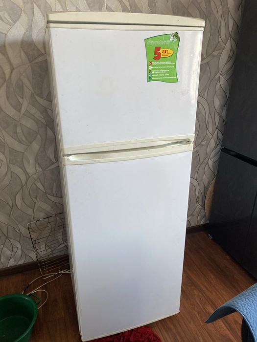 холодилнык электроника техника