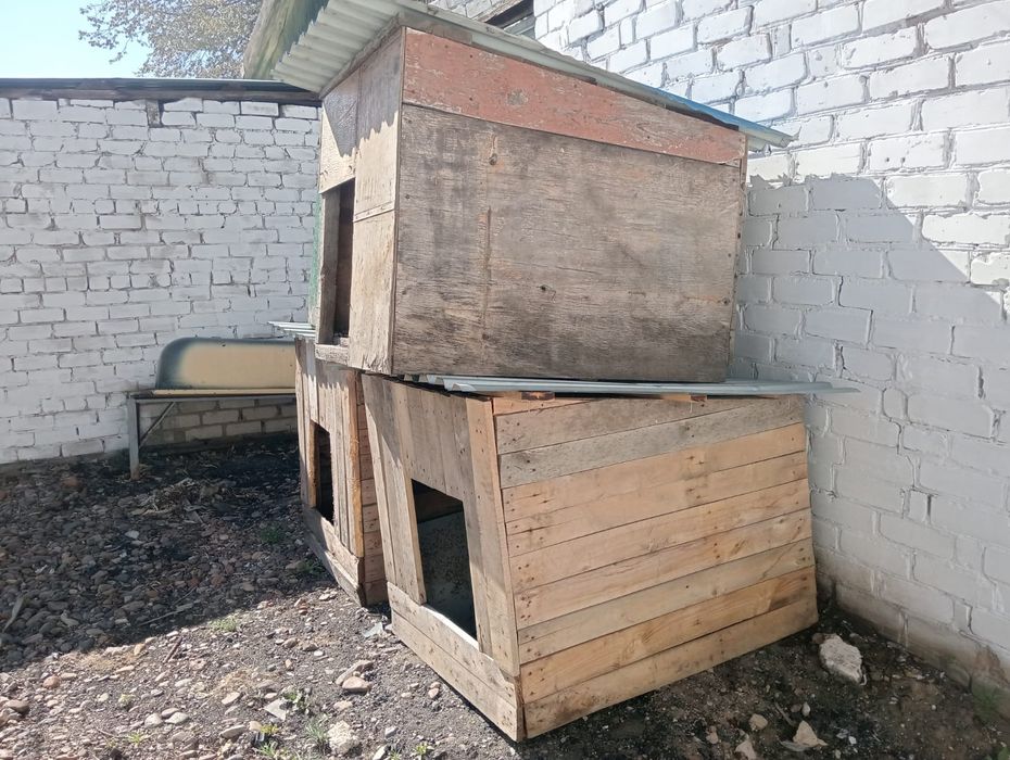 Будка для собаки