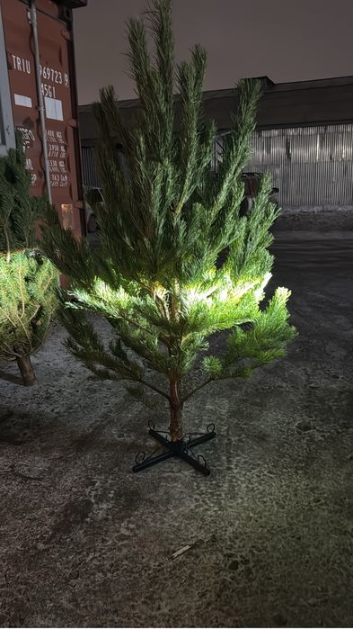 Подставка под елку