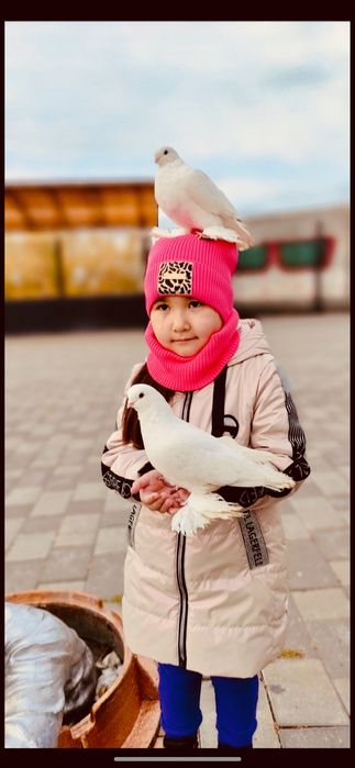 Белые голуби для свадьбы.