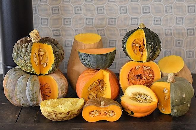 +180 'Seminte Dovleci Placintari soiuri Italia