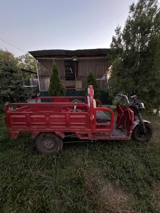 Муравейник  трицикл