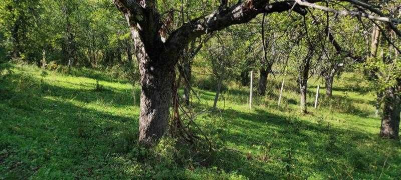 Продават се 3 земеделски имота (поземлени)