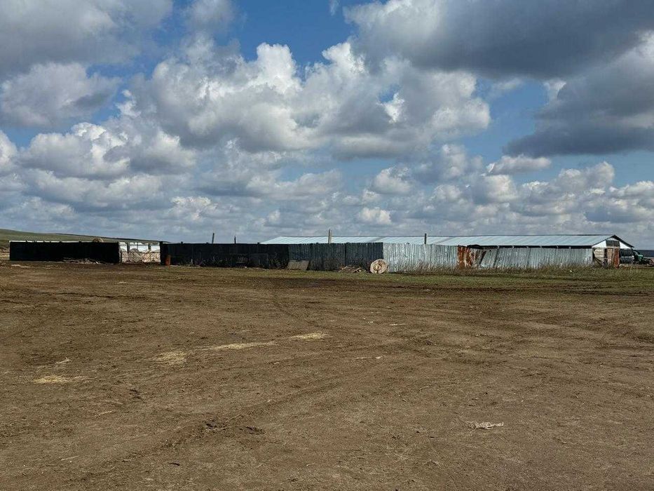 Продам крестьянское хозяйство