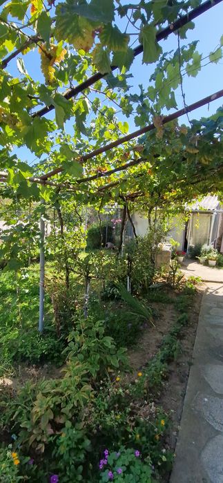 Продава се Къща в с. Книжовник, Област Хасково - 64 кв.м за 938 €/кв.м - Снимка #2