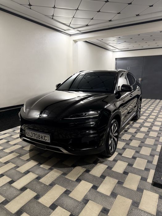 Byd Chempion 2023 краскаси тоза