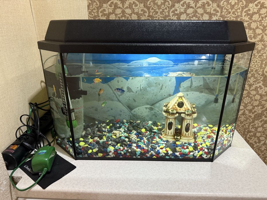 Срочно продам авкариум + тумбачка
