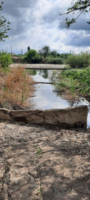 Продаю дачу в ПК Алма