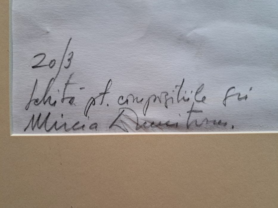Grafică,tuș, "Schiță pt compozițiile gri",Mircia Dumitrescu (n.1941)