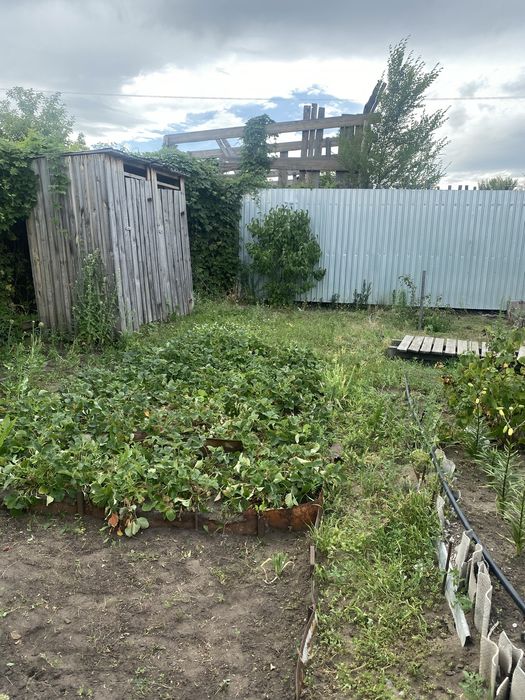 Продам Дачу содовое опшество колос