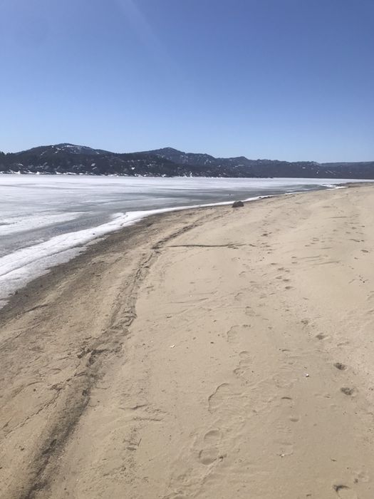 Сдам квартиру в голубом заливе