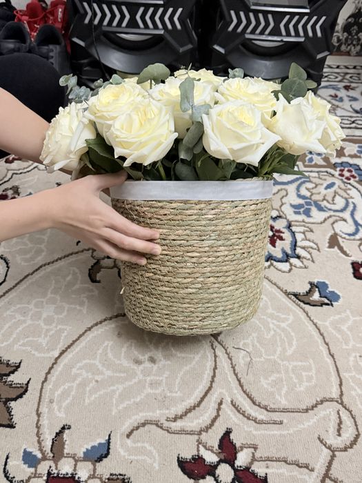 Белые розы голландские