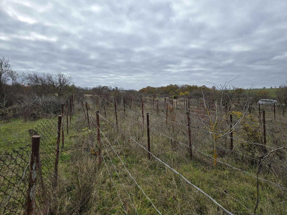 Продава се Парцел в Варна, Левски - 600 кв.м за 39 €/кв.м - Снимка #2