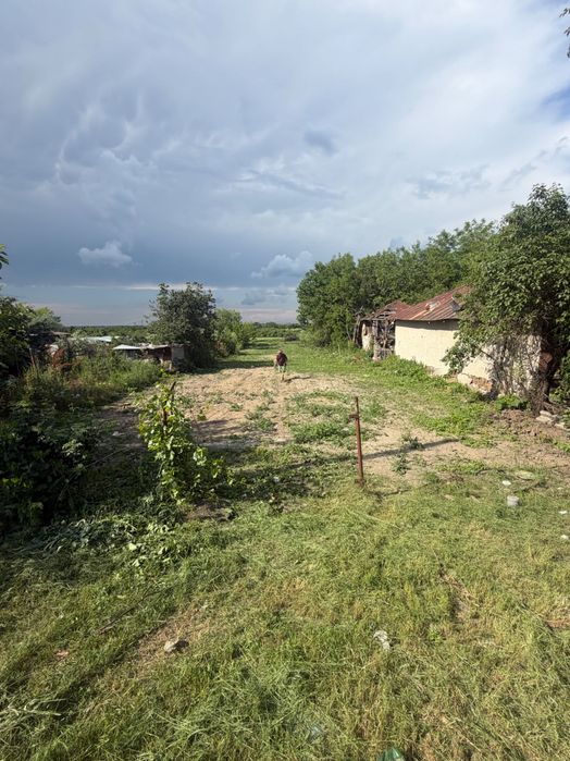 Vând teren 2.000 mp (800 mp intravilan + 1.200 mp extravilan) | Deschidere 13 m | Iepurești, Giurgiu