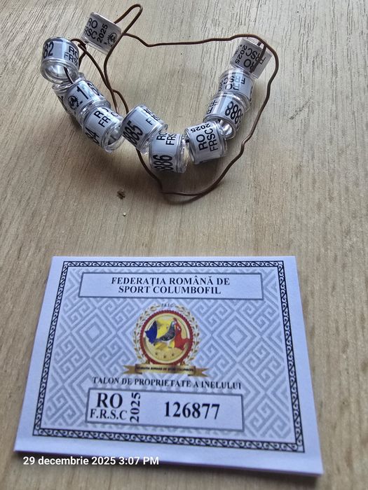 Vând inele  porumbei 2025