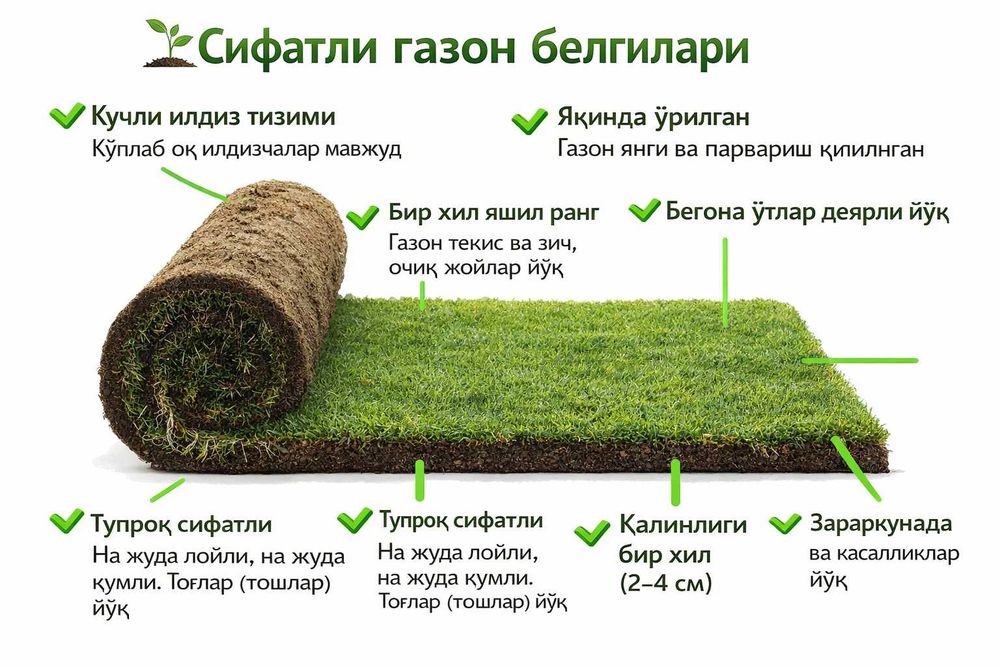 Газон, рулон газон, ландшафт