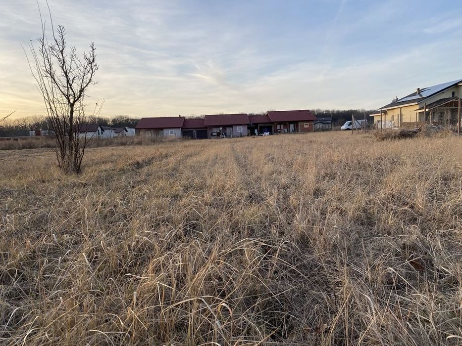 Defrișări vegetatii, intretinere,spații verzi