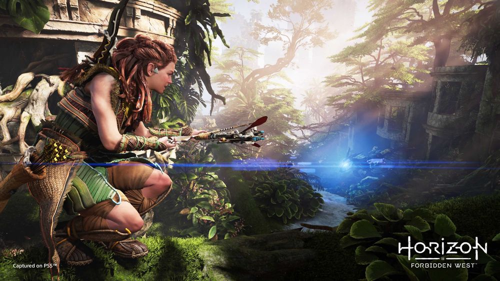 Horizon Forbidden West, Игра, Playstation, PS5, нова