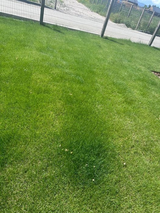 Гозон,укладка посев,