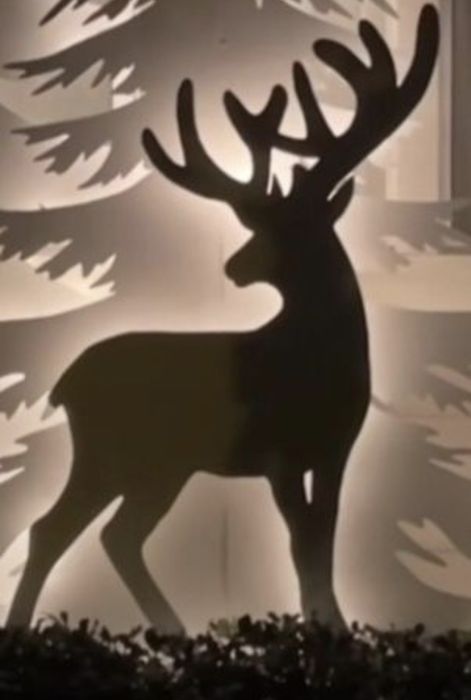 Decor luminos de Crăciun