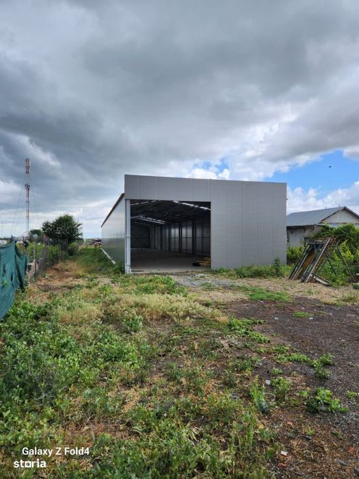 De Inchiriat Hala zona Albina