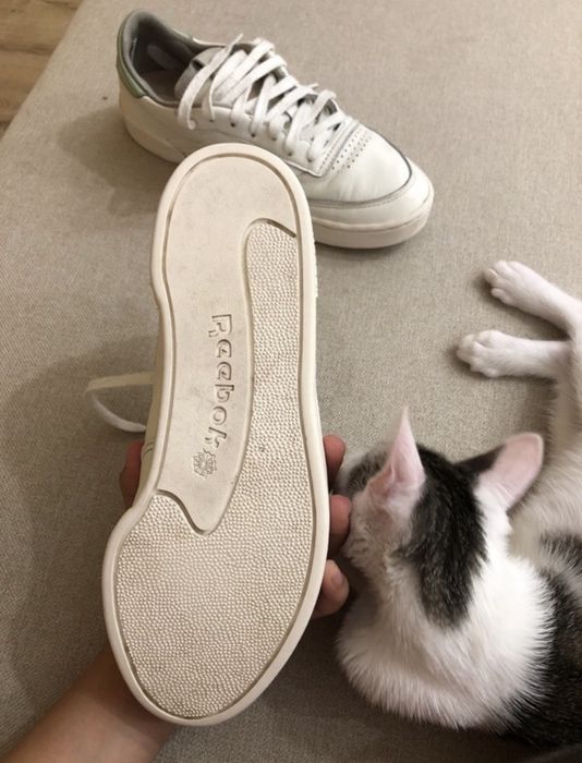 Adidași Reebok Club C clean