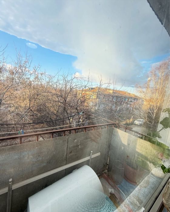 Зеленый бор. Сарыарка 10