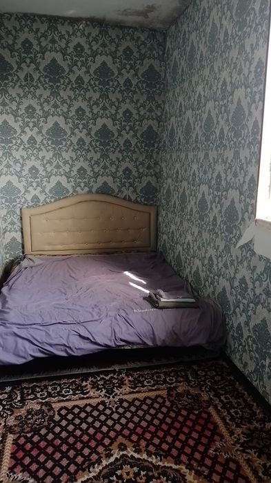 Ибн Сино 1 да 1*2/5/5