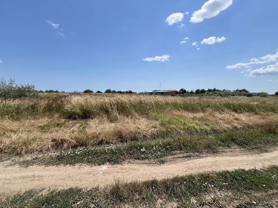 Teren de vânzare Navodari – 500 mp | Strada Câmpului | Ideal pentru casă sau duplex
