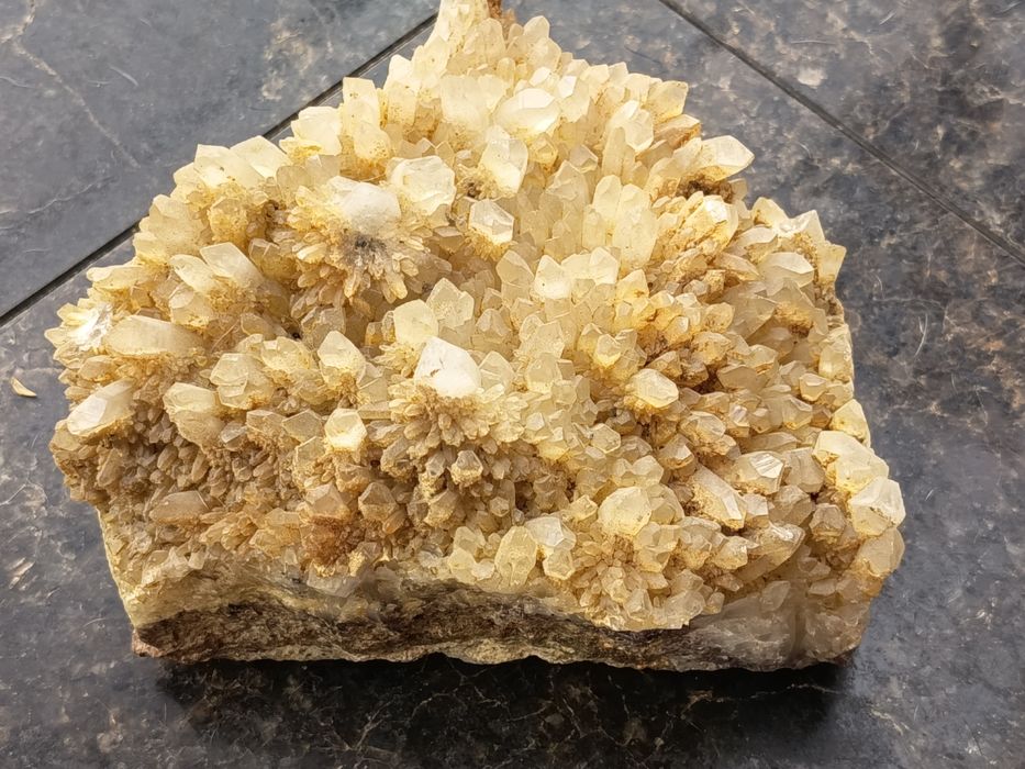 Se vinde Roca Cu Fosile Marine & Cluster De Citrin