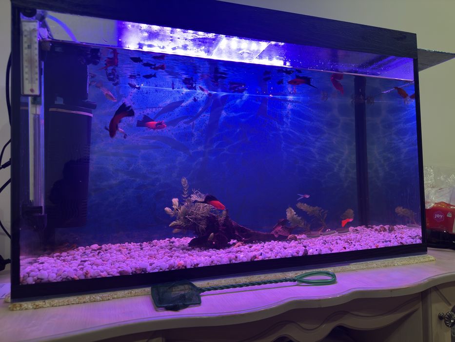 Продам аквариум 120 литров