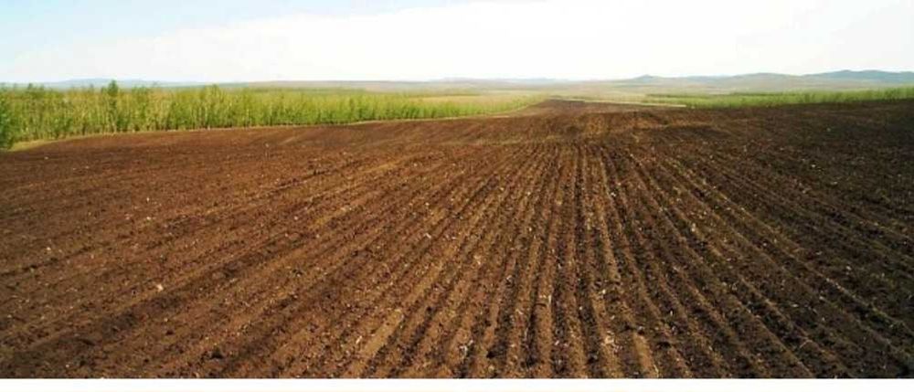 Продам сельхоз землю, Карагандинская обл