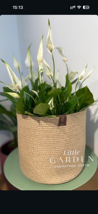 Кашпо из джута кашпо