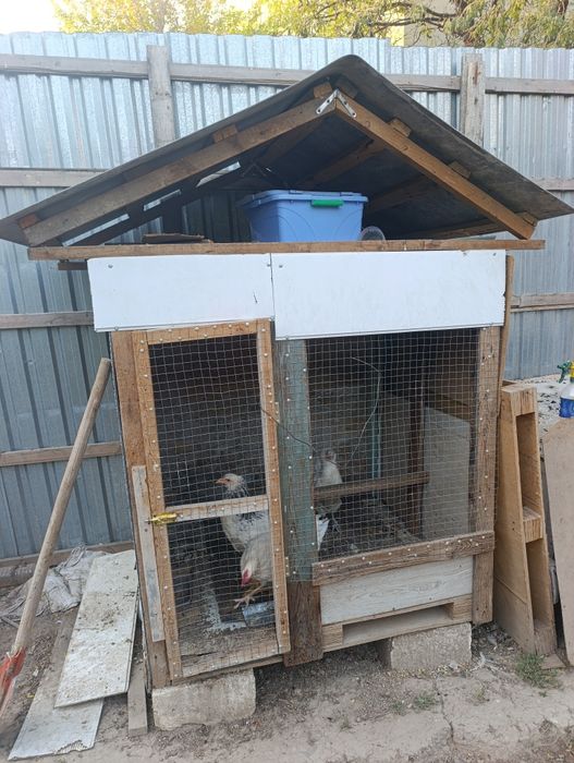 Tuvuq katak sotildi baquvat yasalgan