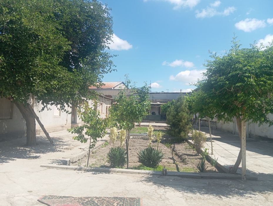 Uchastka sotiladi 14 sutiq ARENTR:KALXOZ BAZAR