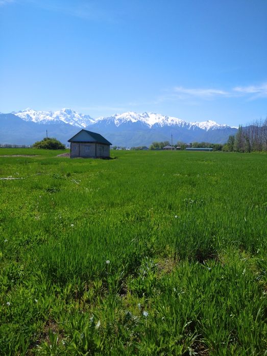 Срочно продам участок.