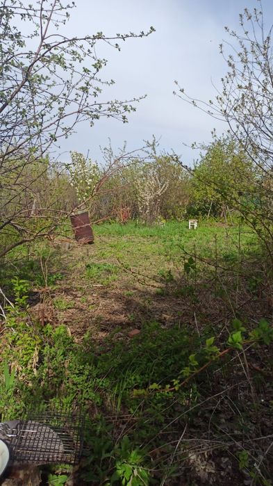 Продам дачу со мелиоратор