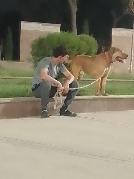 Zoti toza alabay sotiladi