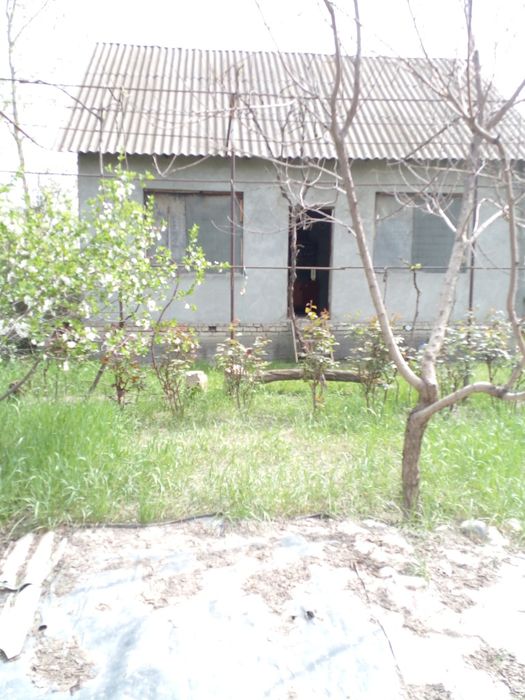 Дача в Янгиюльском р-не